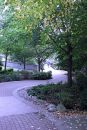005_SHUTTER_SPEED_PRIORITY_WHITE_BALANCE_-_FULL_SPECTRUM_.jpg