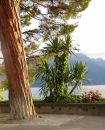 010_WALKWAY_at_MONTREUX_PERF_CLEAR_-_VIVID.jpg
