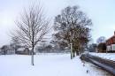 02-02-snow_007.jpg