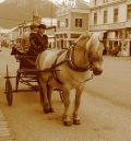 026_HORASE_and_WAGON_TOURS_in_SKAGWAY.jpg