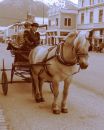 026_HORSE_and_WAGON_TOURS_in_SKAGWAY.jpg
