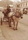 026_S_SKAGWAY_EDIT_-_ADJUST_TOOLS_BASED_ON_CONSERVATOR_RESTORER.jpg
