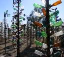 0901-063_bottle_forest.JPG