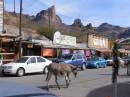 0902-066_Oatman_AZ.JPG