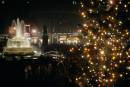 108_Corols_in_Trafalgar_Sq_61_beside_Norway_Spruce-91.jpg