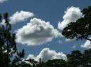 20090203_02811_kambanjidrive_01.jpg