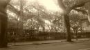 20160513_180655.jpg