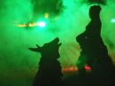 31_10_2013_055.jpg