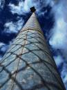 87_of_365_looking_up.jpg