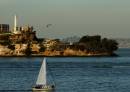 Afternoon_at_Alcatraz.jpg