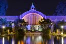Arboritum_Xmas_2014_Adj_ARC_4059_web1000.jpg