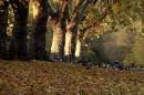 Autumn-scene.jpg
