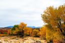 Autumn_in_the_High_Desert_JRE9380_web1000.jpg