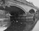 Bridge_2.jpg
