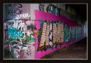 Bristol-3515_copy.jpg