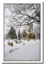 Churchyard.jpg