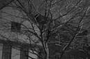 Copy_of_20d_250207_172.jpg
