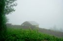 Cottage_in_the_Mist.jpg