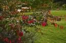 Country-Garden.jpg