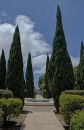Cyprus_and_fountain_ARC_4876_web700h.jpg