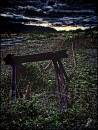 DESOLATION_1.jpg