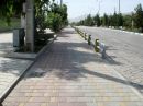 DSC00239a.jpg