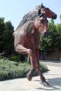DSC00245a.jpg