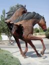 DSC00247a.jpg