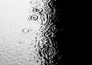 DSC00363.jpg