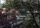 DSC00405_1.JPG