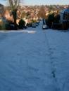 DSC00592-1.jpg