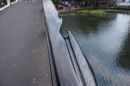 DSC02136dp.JPG