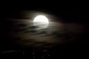 DSC02255.jpg