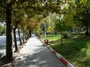 DSC04832a.jpg