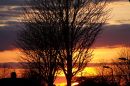DSC05223.JPG