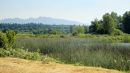 DSC05558_W_90_LANDSCAPE_MODE_16_X_9_PERFECTLY_CLEAR_.jpg