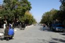DSC06308a.jpg