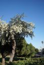 DSC09809.jpg
