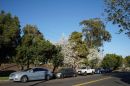 DSC09812.jpg