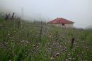 DSCF007221.jpg