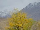 DSCN1305a.jpg