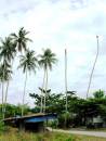 DSCN4075.JPG