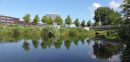 DSCN6922a.jpg