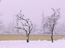 DSCN9331b.jpg