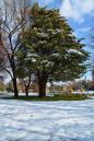 DSC_0298.JPG