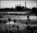 Desolation_4.jpg