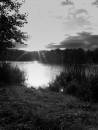 Dscf1118.jpg