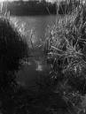 Dscf1134.jpg