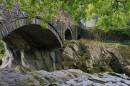 Foot_Bridge.jpg