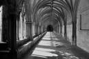 From_the_Norwich_Cathedral_in_BW.jpg